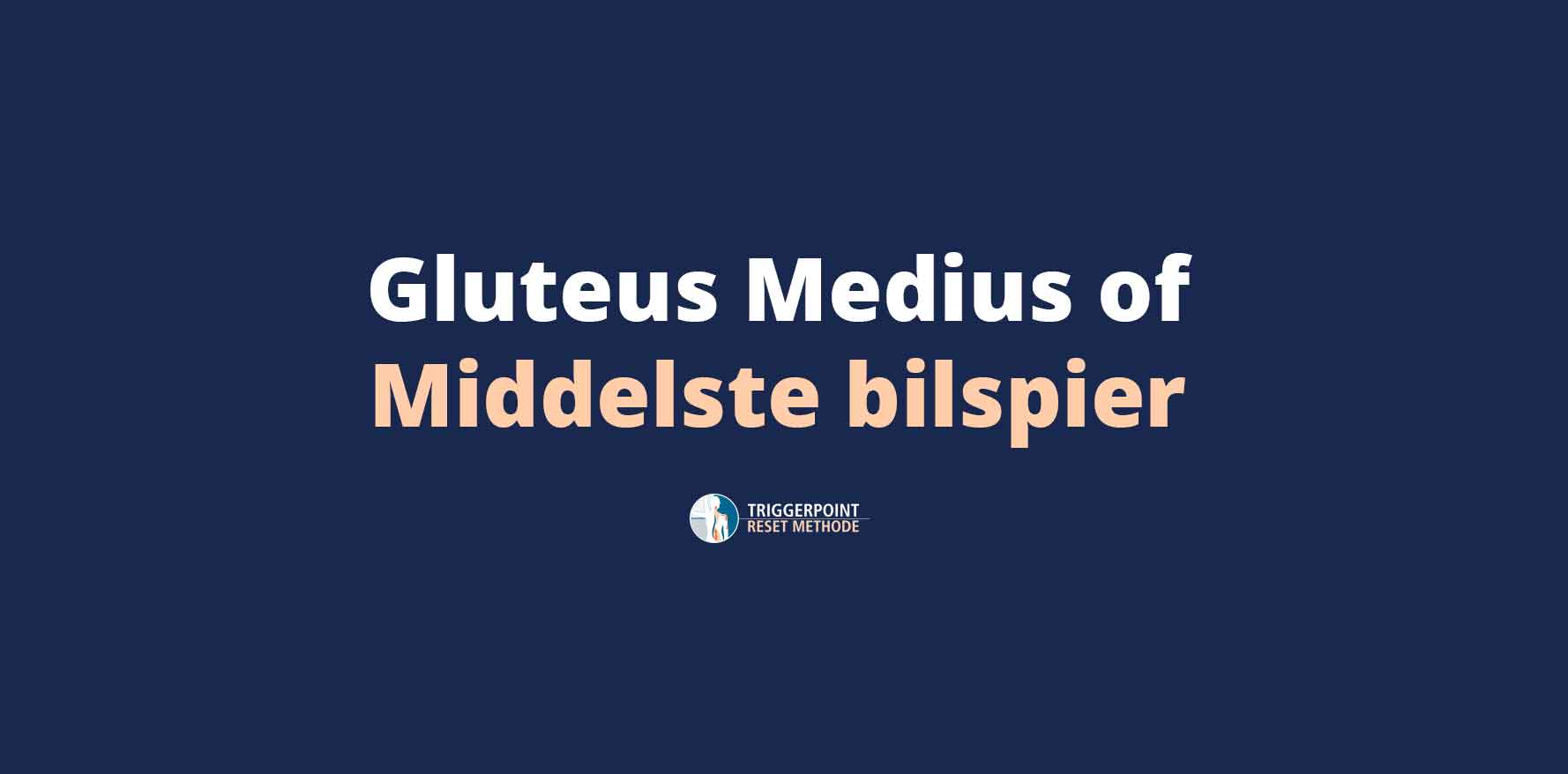 Gluteus medius of bilspier