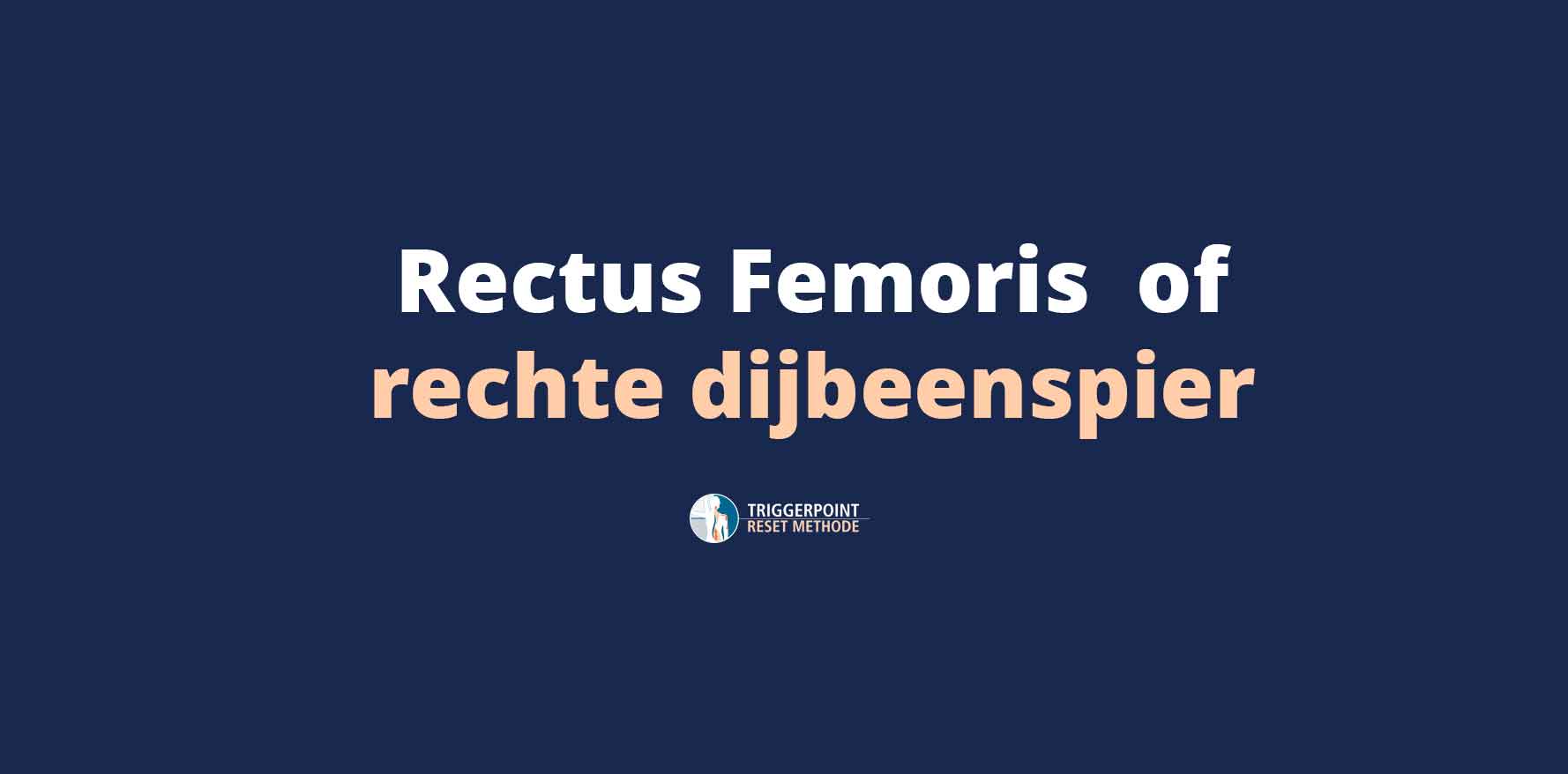Rectus Femoris of rechte dijbeenspier