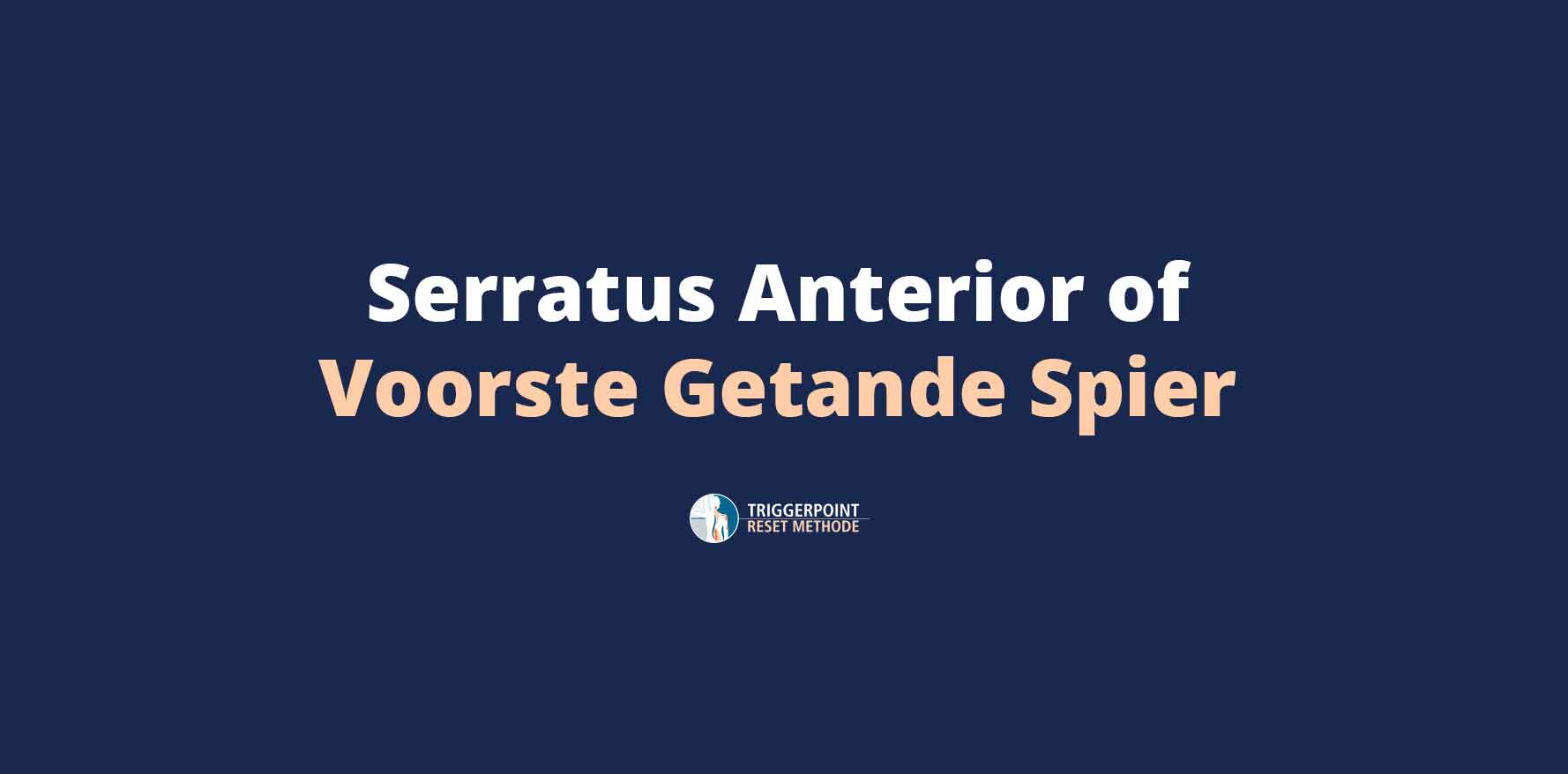 Voorste getande spier of serratus anterior