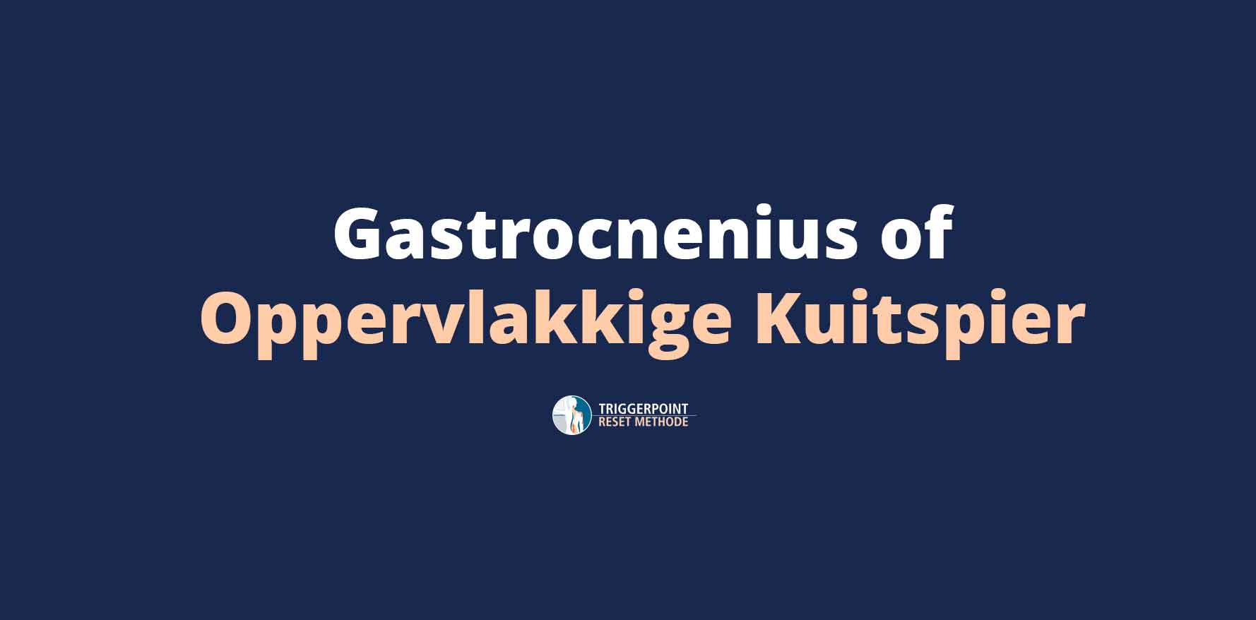 Gastrocnenius of Oppervlakkige Kuitspier