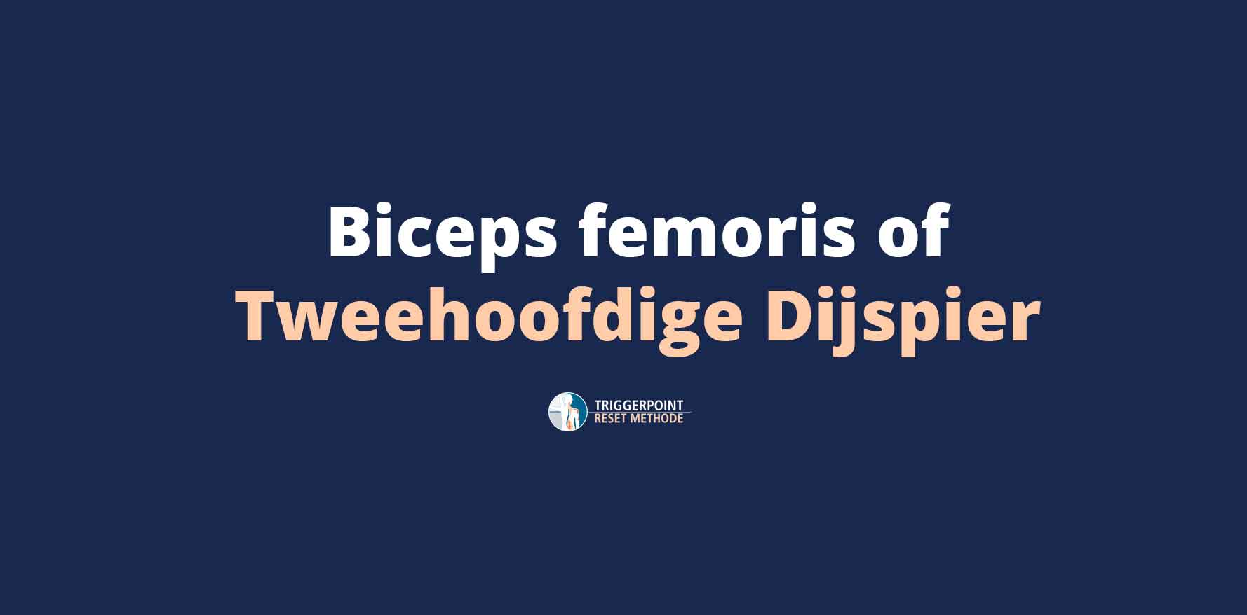 Biceps femoris of Tweehoofdige Dijspier