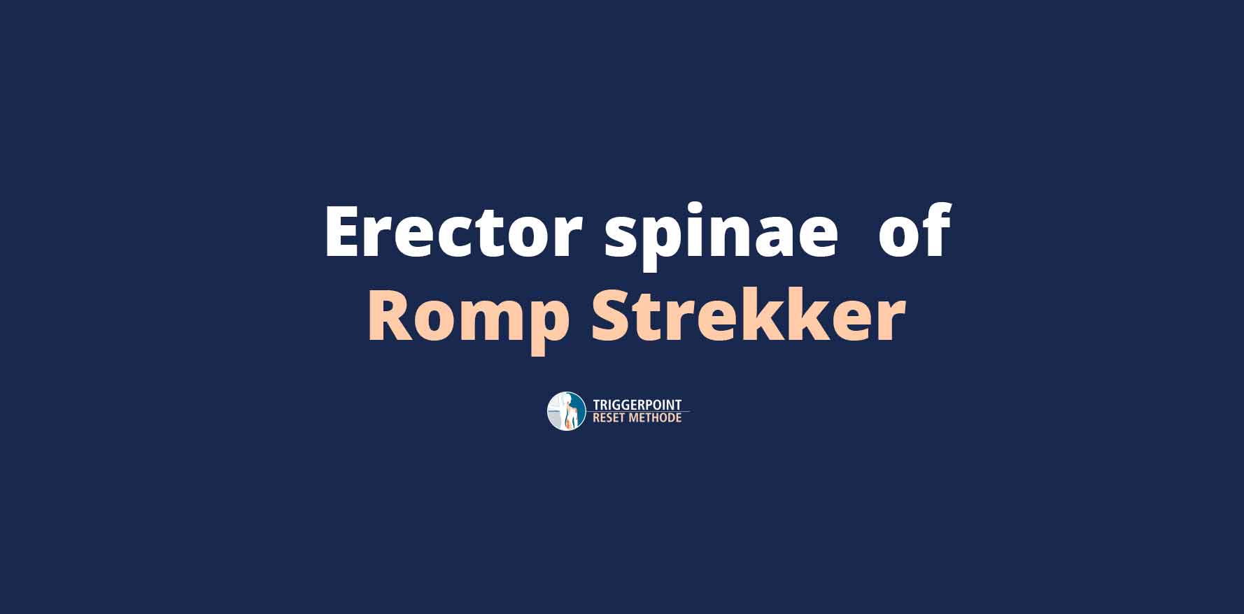 Erector Spinae of Rompstrekker