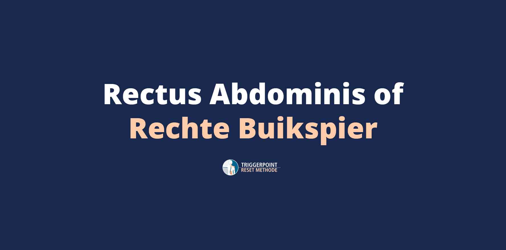 Rectus abdominis of Rechte Buikspier