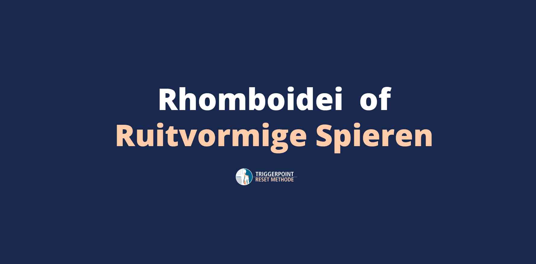Rhomboidei of Ruitvormige Spieren