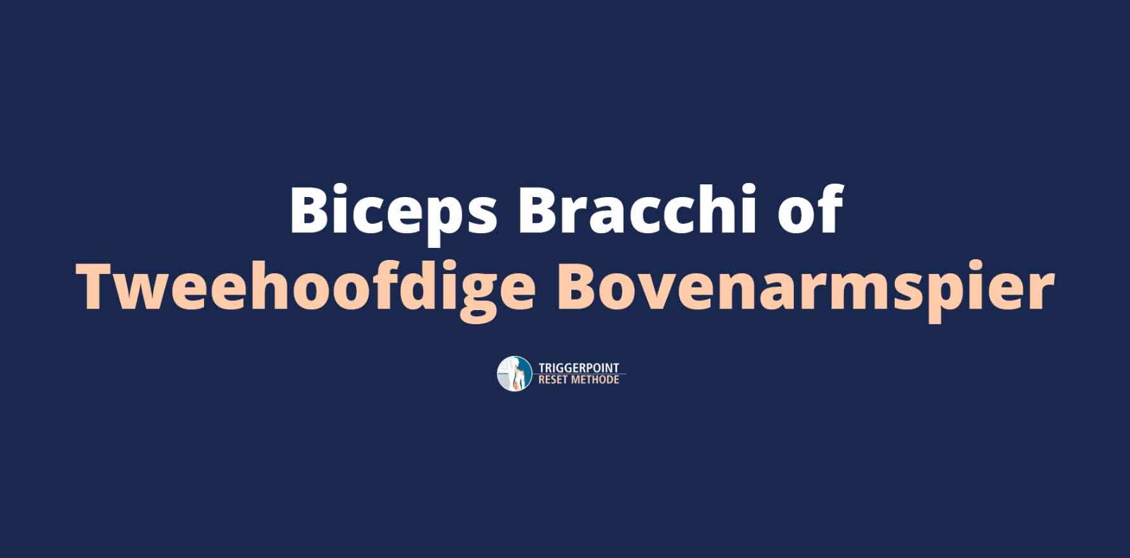 Biceps brachii of Tweehoofdige Bovenarmspier