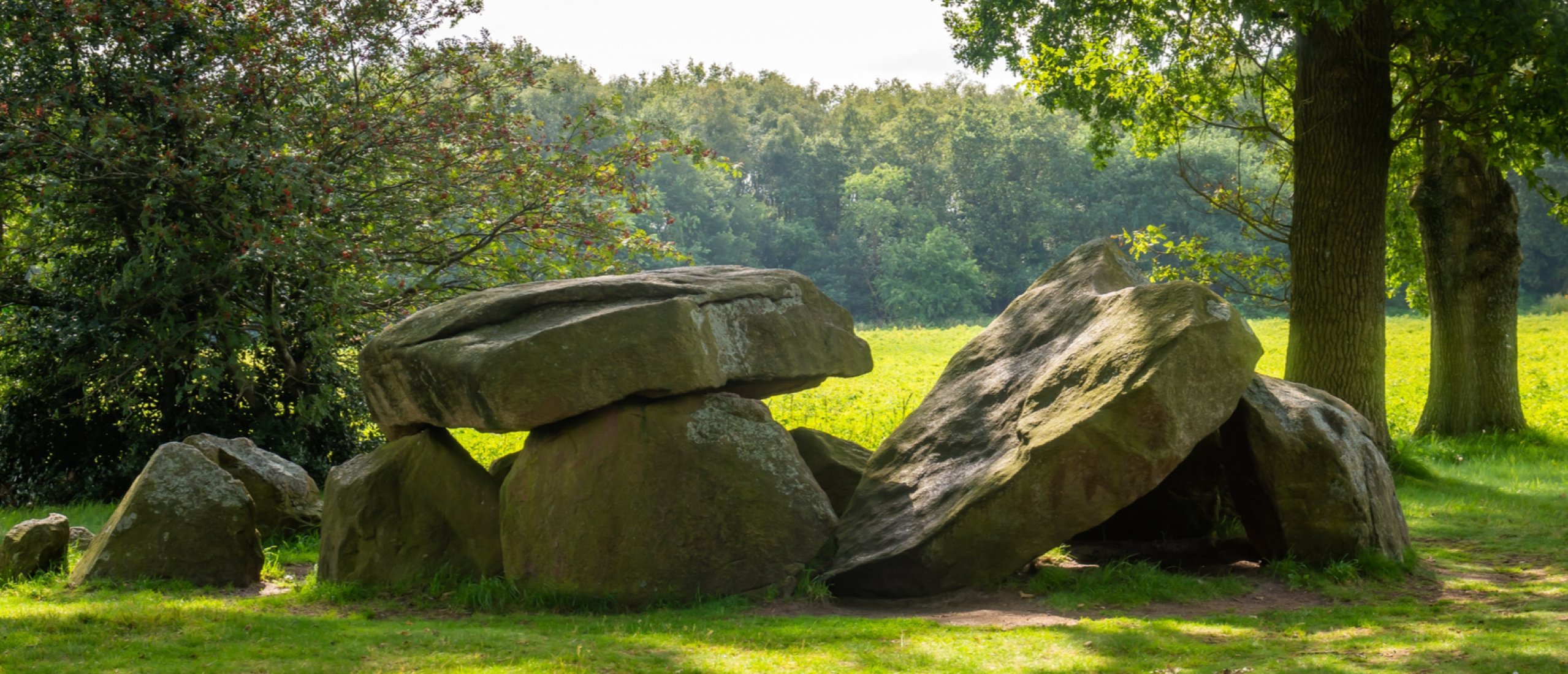 Trouwauto huren Drenthe