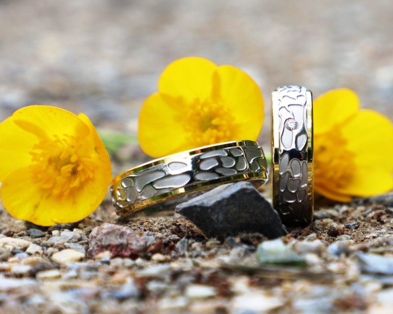 Wat kosten trouwringen, wit met geelgouden trouwringen in de lente Wat kosten trouwringen, wit met geelgouden trouwringen in de lente