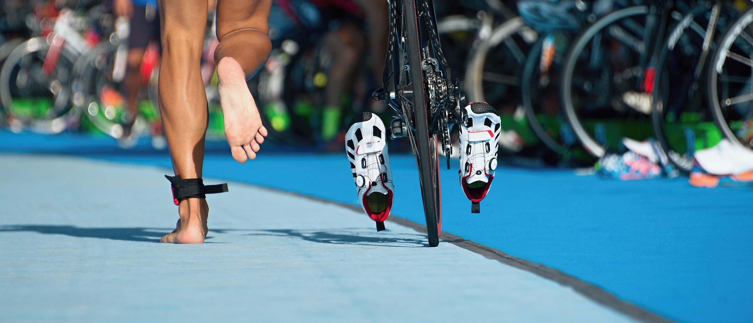 TRTHLN | Dé online triathlon club van Nederland en Vlaanderen!