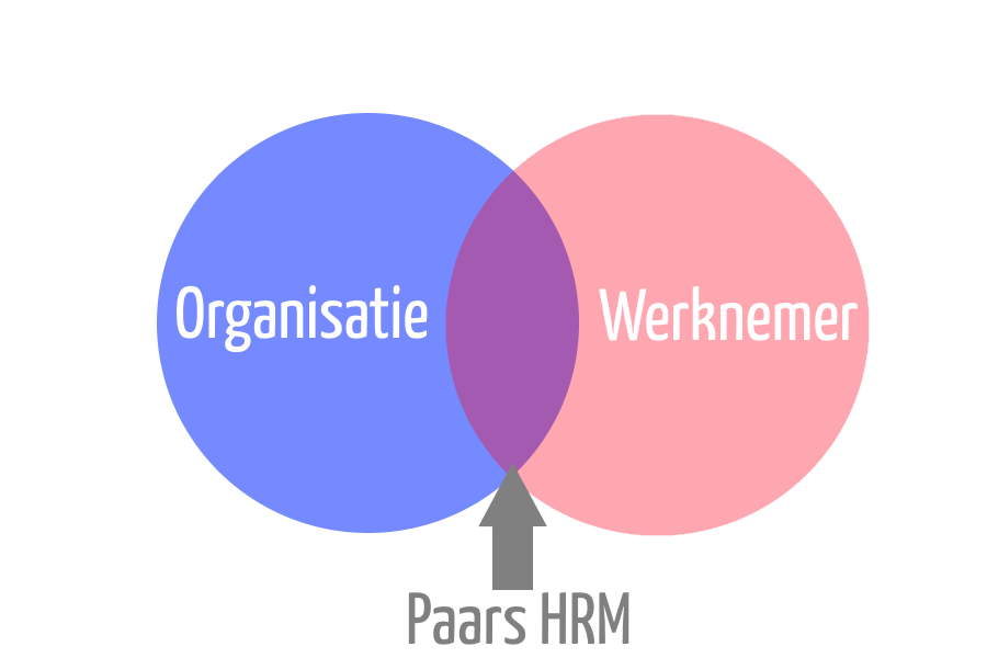 Paars HRM en Assessments ... een goede match?