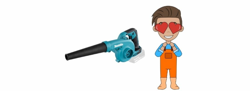 beste bladblazer accu