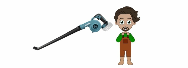 beste bladblazer accu