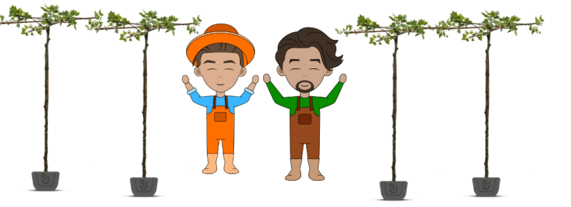 bepaalde techniek vereist voor professionele boomverzorger wanneer boom in rust is hoogte groeit bepaalde techniek vereist voor professionele boomverzorger wanneer boom in rust is hoogte groeit