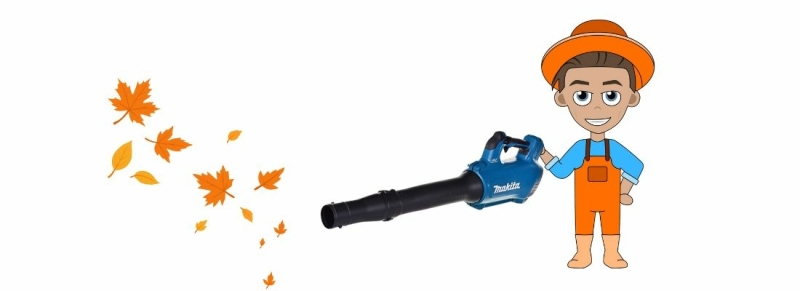 beste bladblazer accu