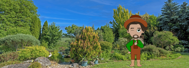 dood hout door eetbare vruchten is mooie oogst met zoete lekkernijen dood hout door eetbare vruchten is mooie oogst met zoete lekkernijen