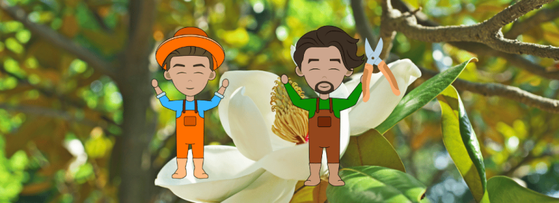 ervoor kiezen om gaan bloeien ervoor kiezen om gaan bloeien