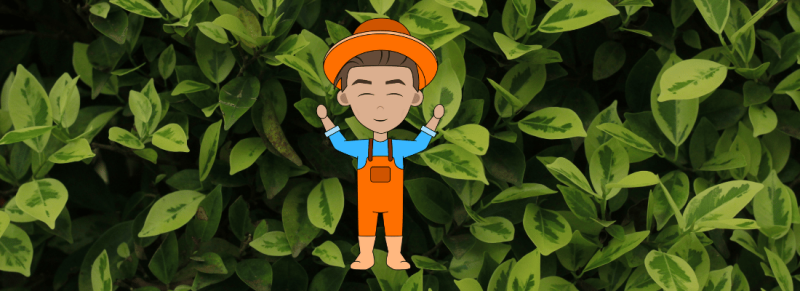 groeiwijze gaat invloed hebben groeiwijze gaat invloed hebben