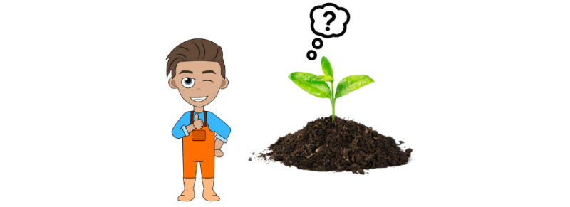 kamerplant grond voor plantenverzorging