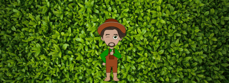 losse struik kan beste gebeuren losse struik kan beste gebeuren