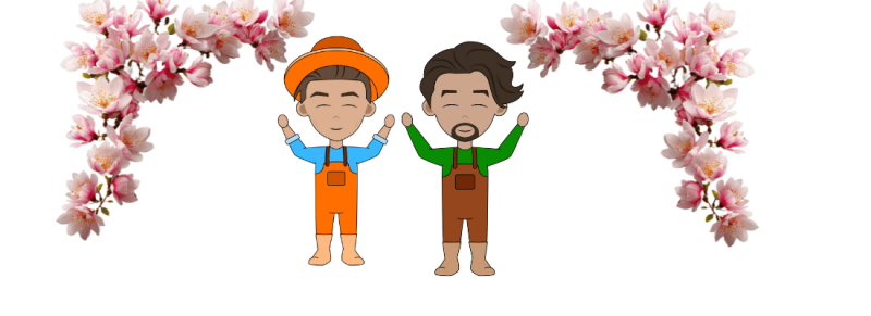 Magnolia verschijnen dunne twijgen en eerste bloemen Magnolia verschijnen dunne twijgen en eerste bloemen