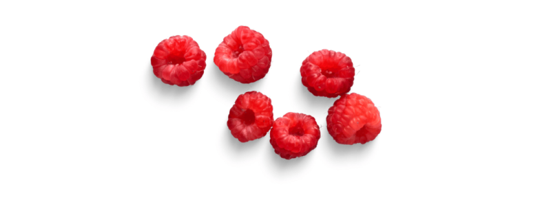 oktober genieten van soorten frambozenstruiken die hetzelfde jaar groeien oktober genieten van soorten frambozenstruiken die hetzelfde jaar groeien