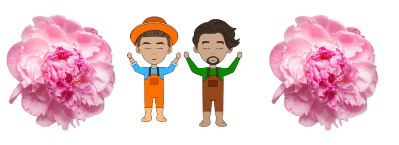 pot knippen zodat takken open gaat en geur pot knippen zodat takken open gaat en geur