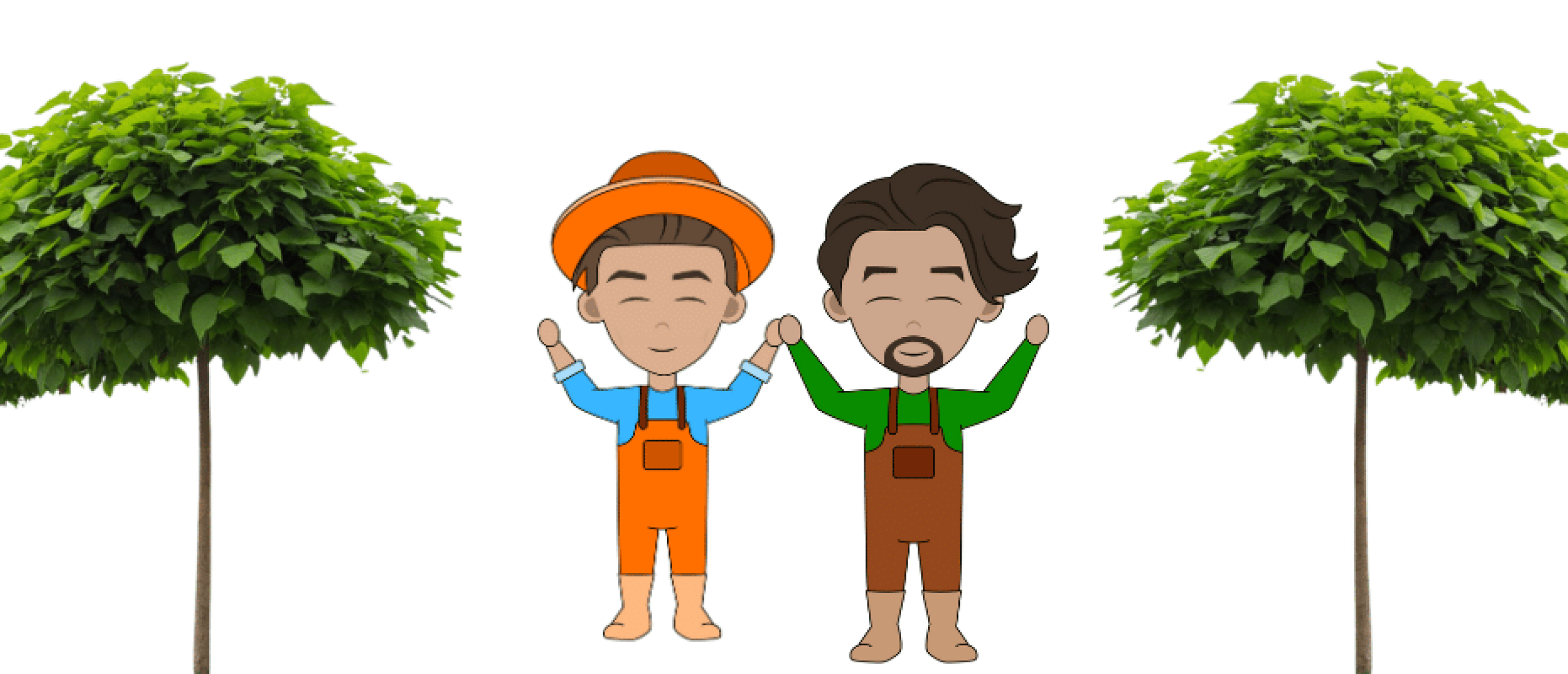 Catalpa snoeien: wanneer en hoe