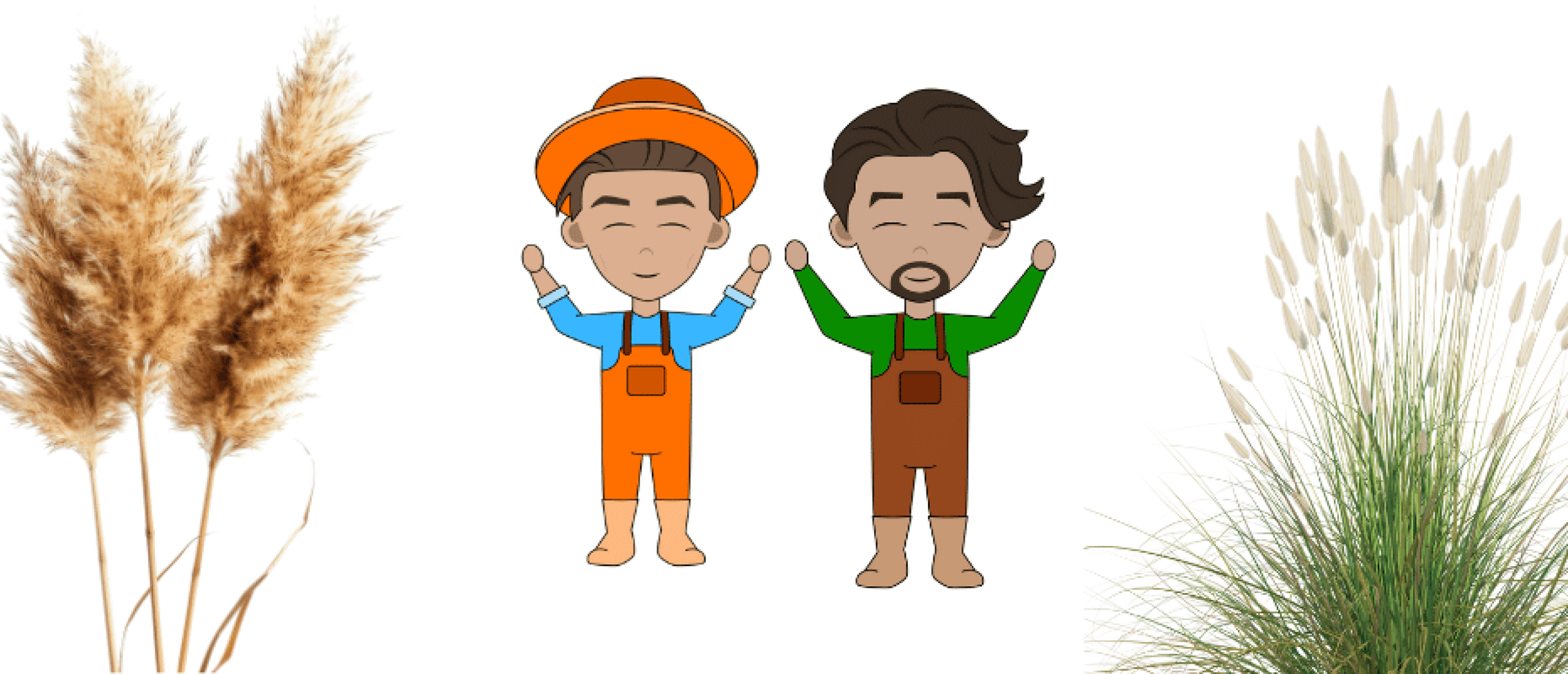 Wanneer siergras snoeien en hoe?