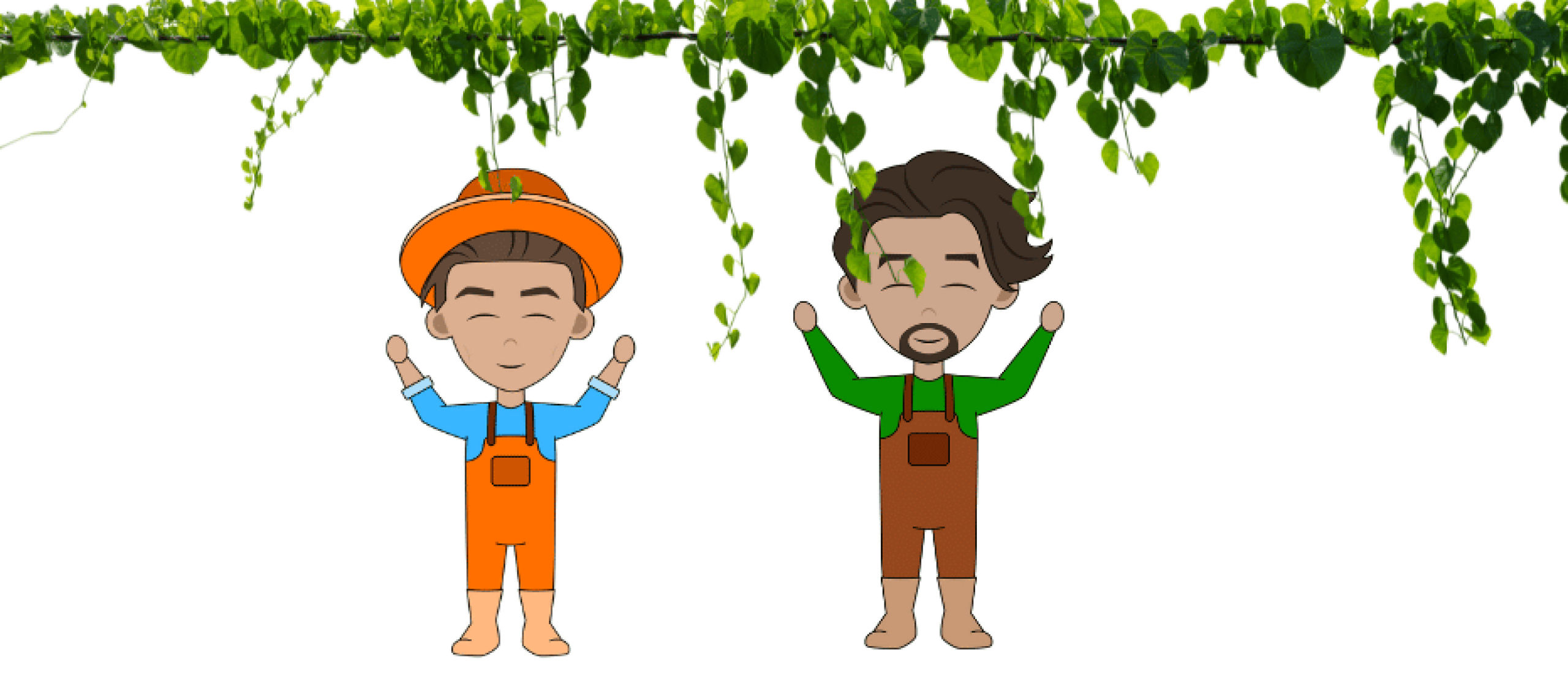 Klimop snoeien: wanneer en hoe?