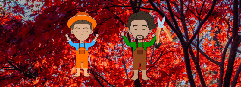 takkenschaar gebruikt voor vroege snoei van grote boom takkenschaar gebruikt voor vroege snoei van grote boom