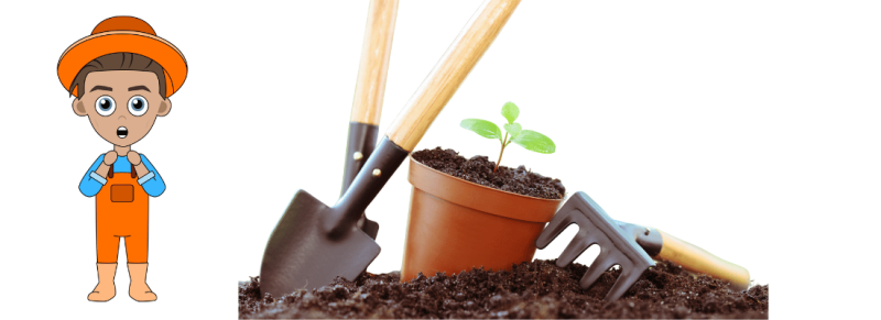 Tuin klaarmaken voor volgende voorjaar
