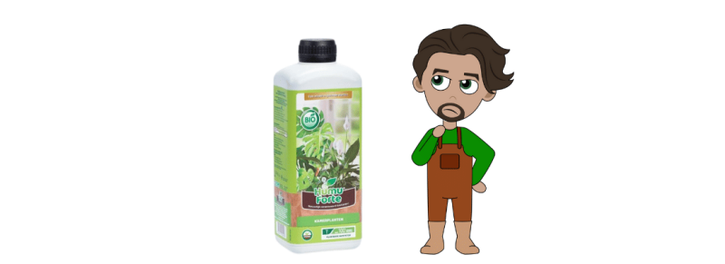 voeding binnenplanten