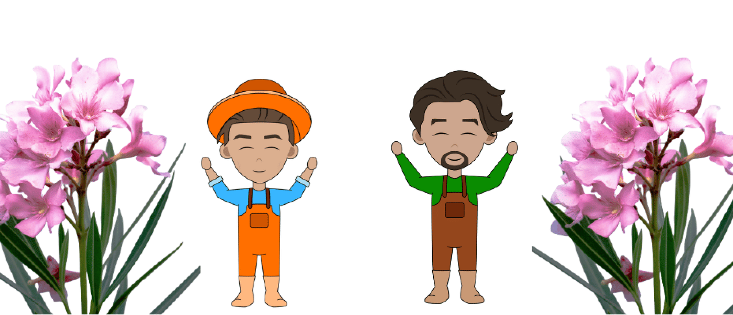 Oleander snoeien: wanneer en hoe?