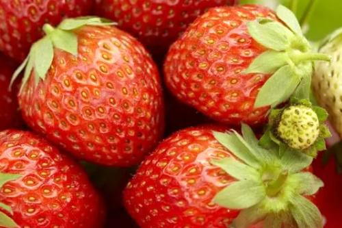 Fruitboom-snoeien-fruitboom-planten-fruitboom-klein-fruitboom-bemesten