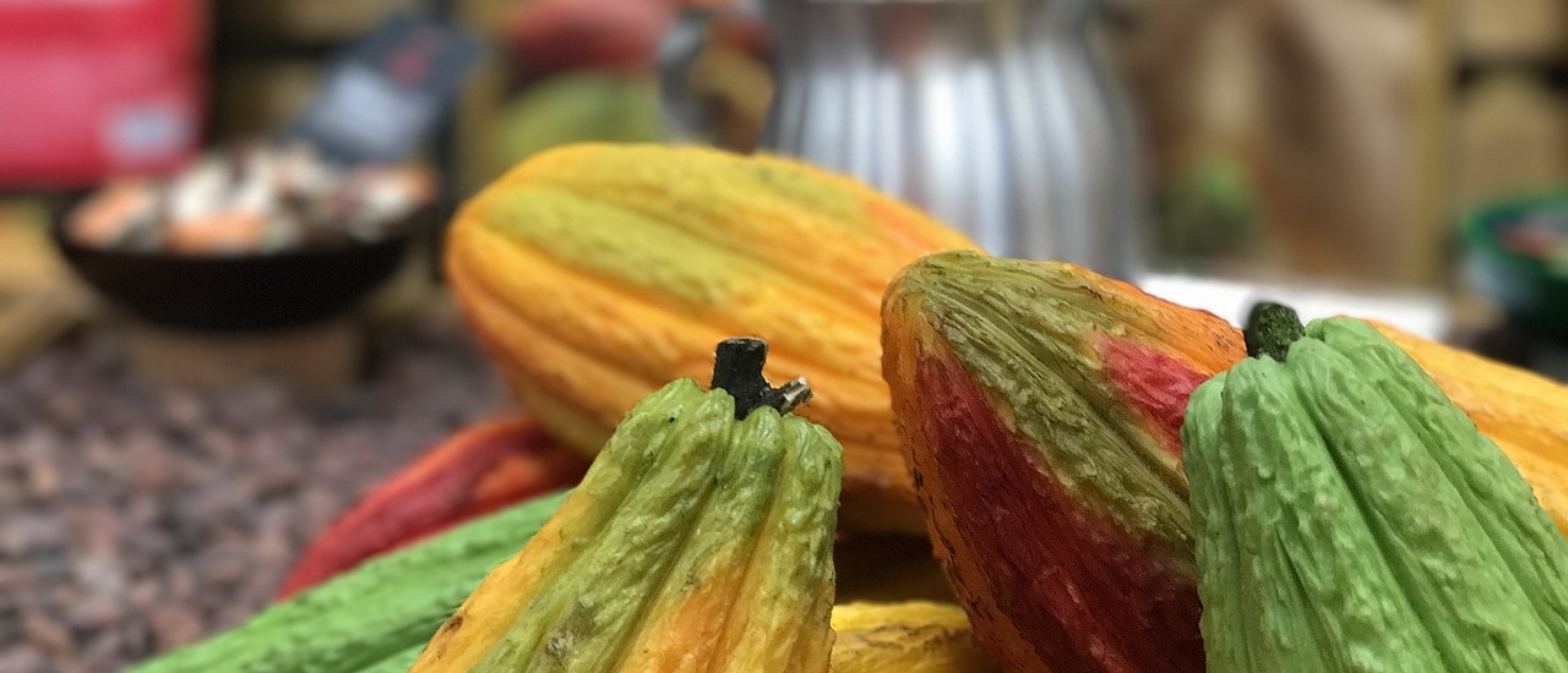 Cacao Ceremonie & Sjamanisme : Wat houdt het eigenlijk in?
