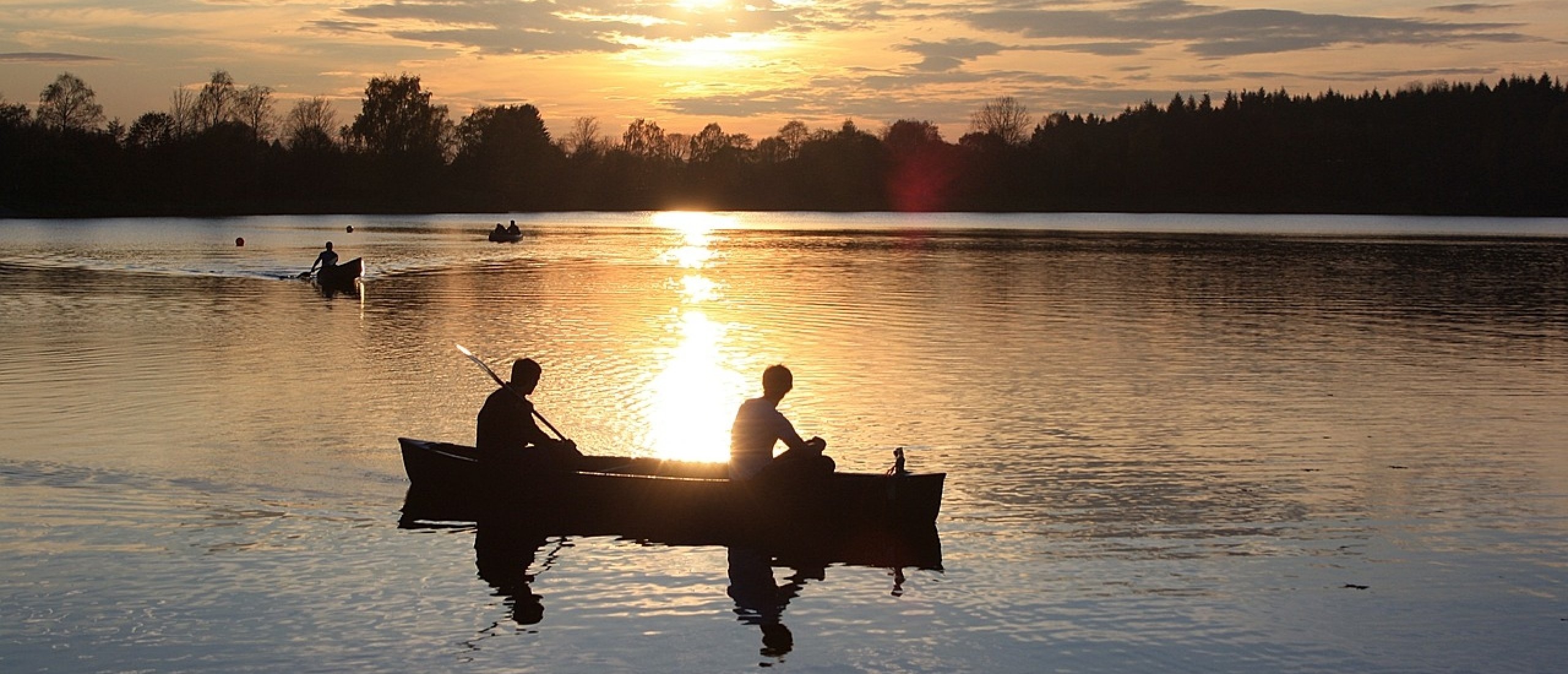 Op avontuur in de Biesbosch: kanoën en wildspotten met Unplugged Outdoor