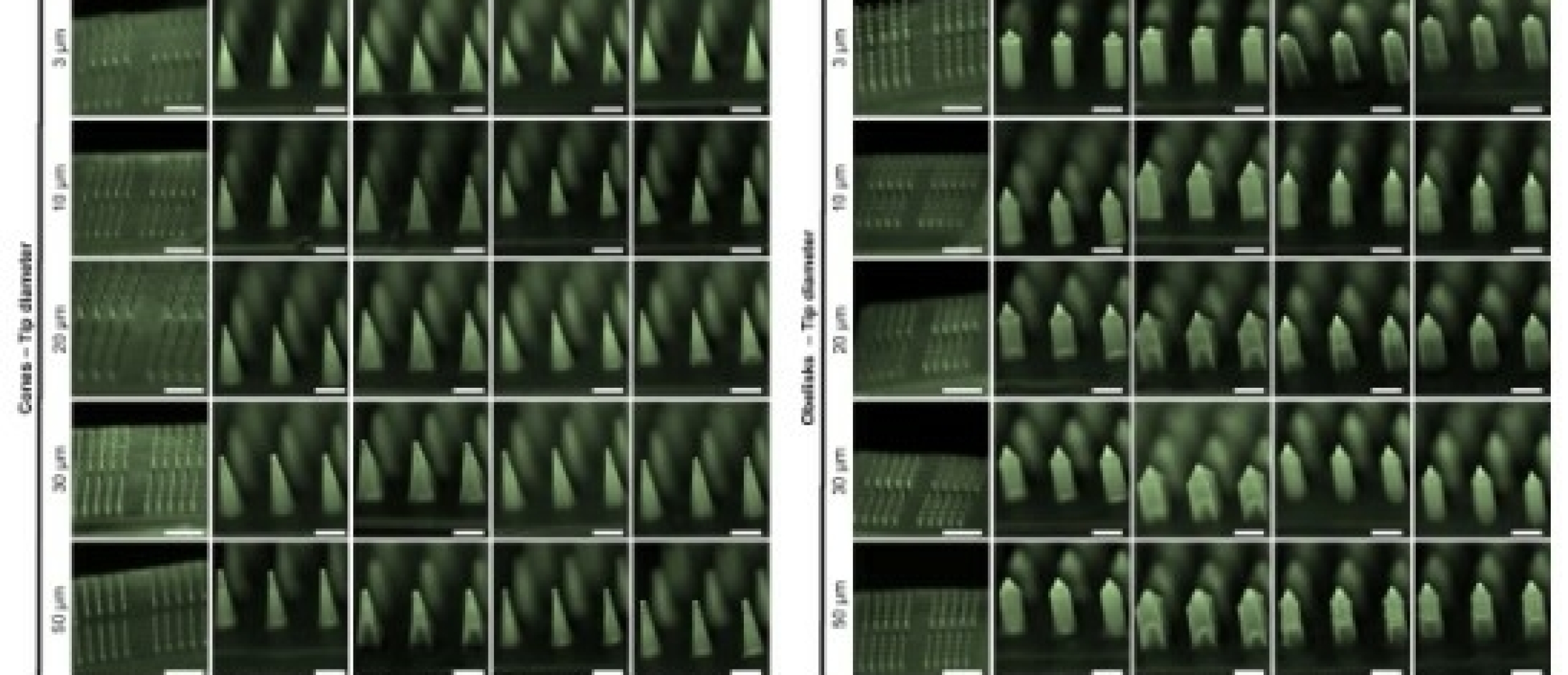 uPATCH Supports Research on the Design and Skin Penetration of Polymeric Microneedles