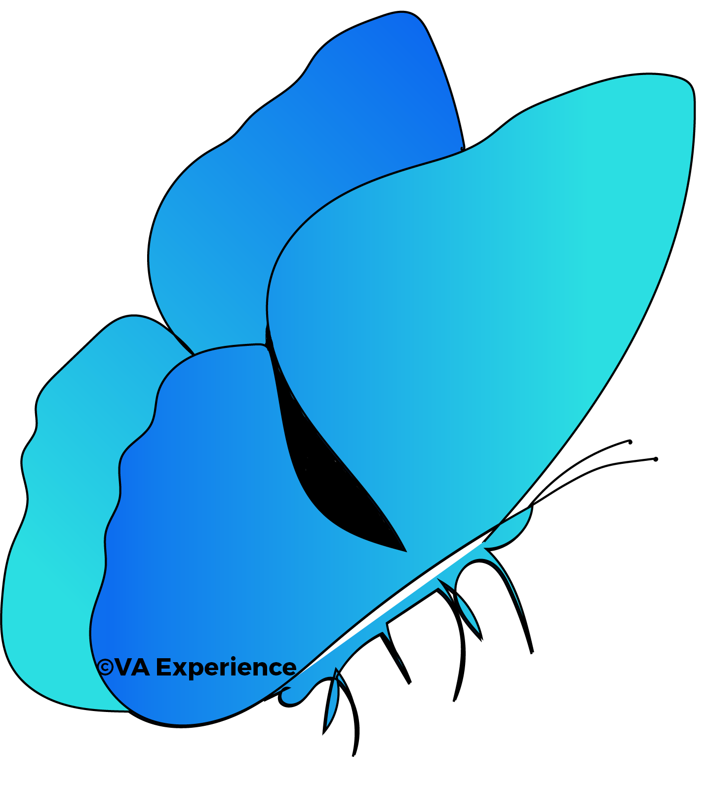 vlinder-gradient-grafisch-ontwerp-blauw-groen-va-experience