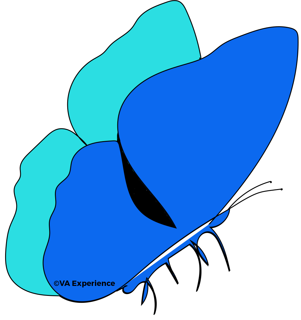 vlinder-grafisch-ontwerp-strak-va-experience-groen-blauw