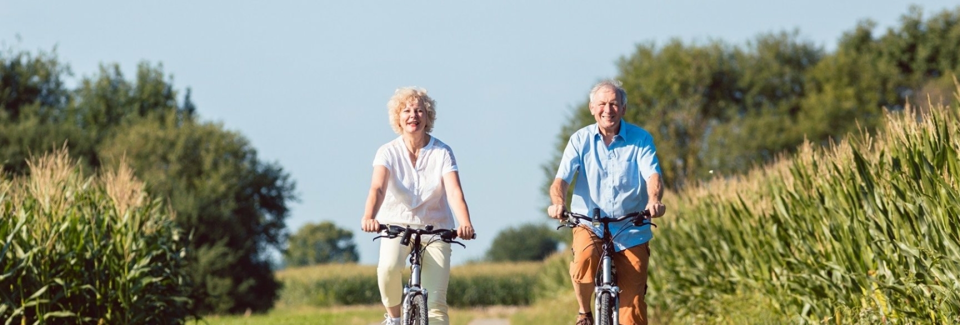 fiets vakantie twente vakantie huisje twente