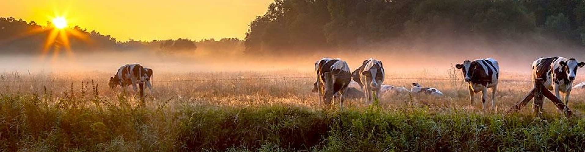 Regio Twente vakantie huisje Twente .com