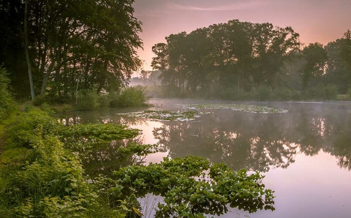 Vakanteihuisje twente springedal