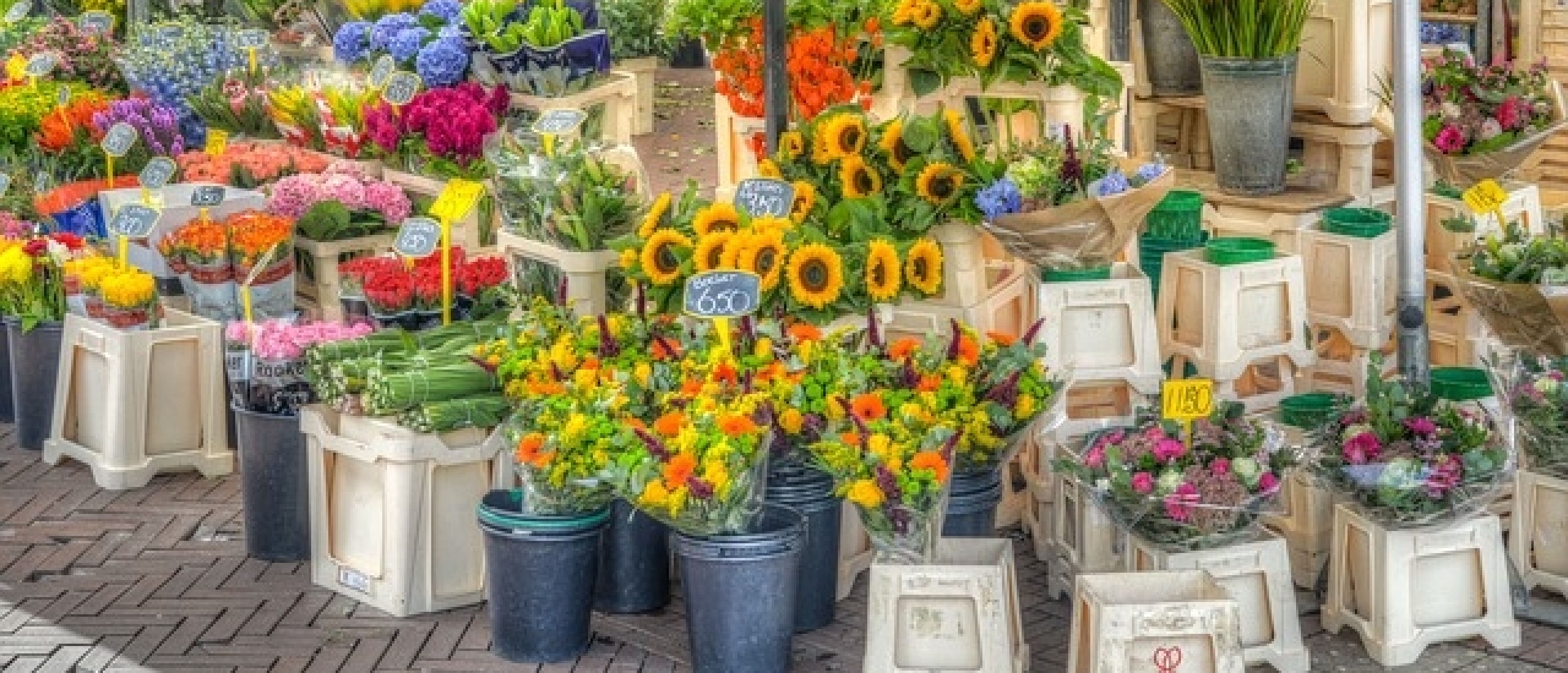 Bloemenmarkt Groningen