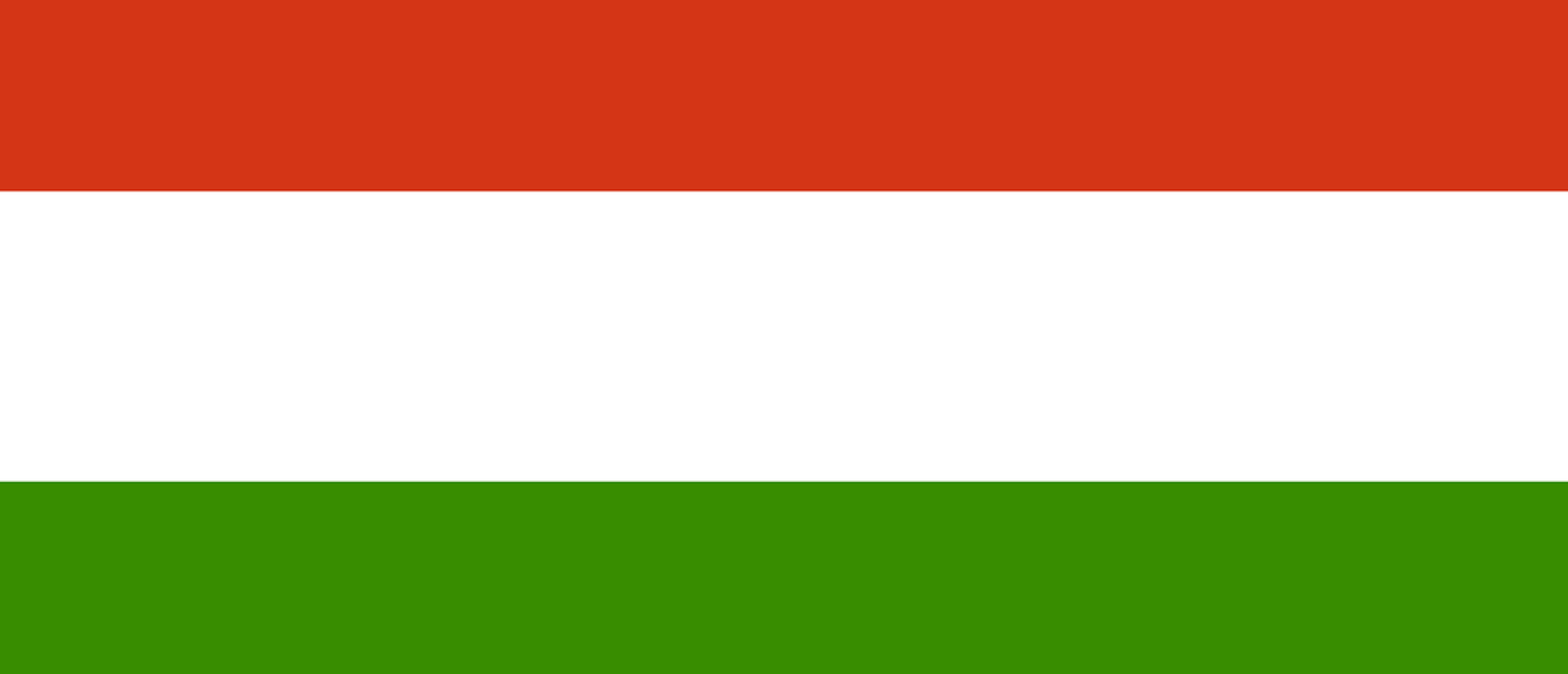 Hongaarse Vlag