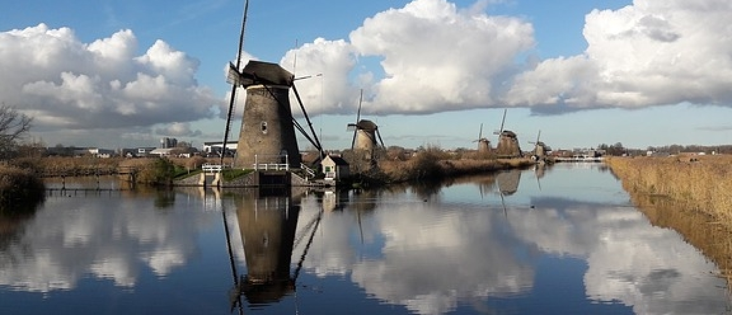 De top 7 van de leukste reisgidsen voor Zuid-Holland 2024