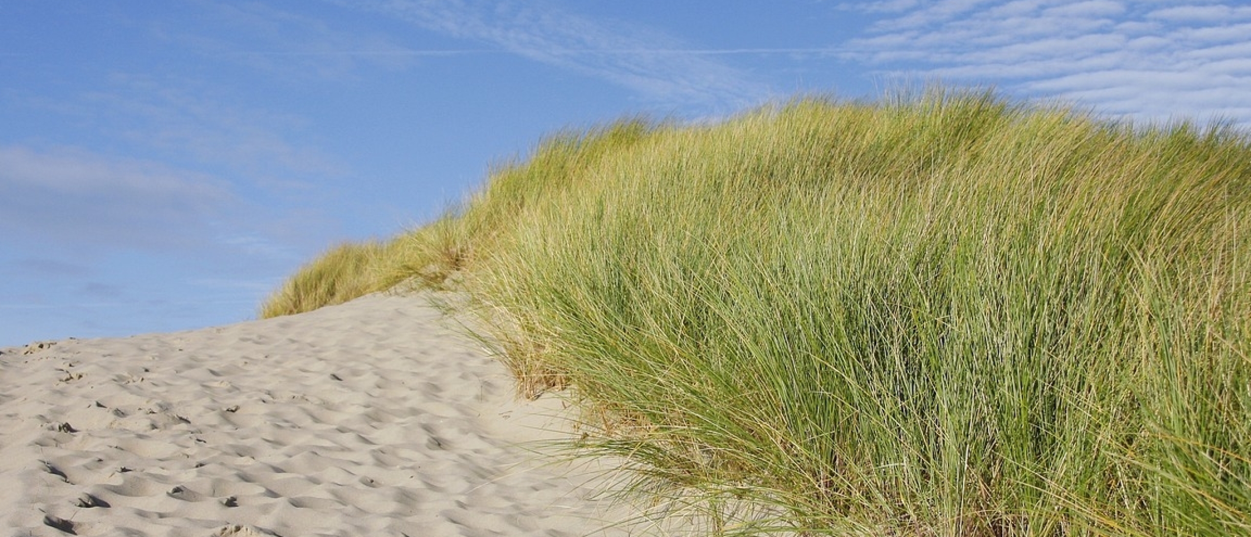 De top 7 van  de mooiste duinen / duingebieden in Nederland 2024