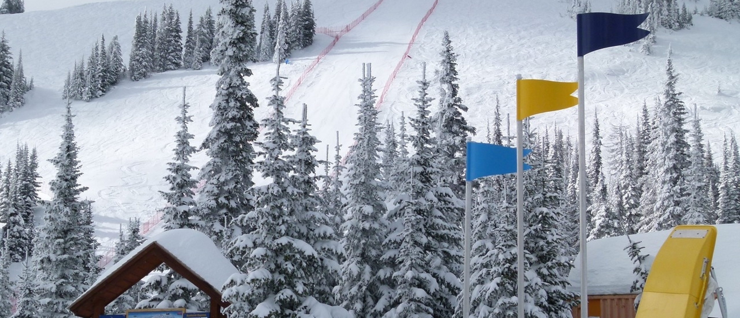 De top 7 van de mooiste wintersport- / skigebieden in Canada 2024