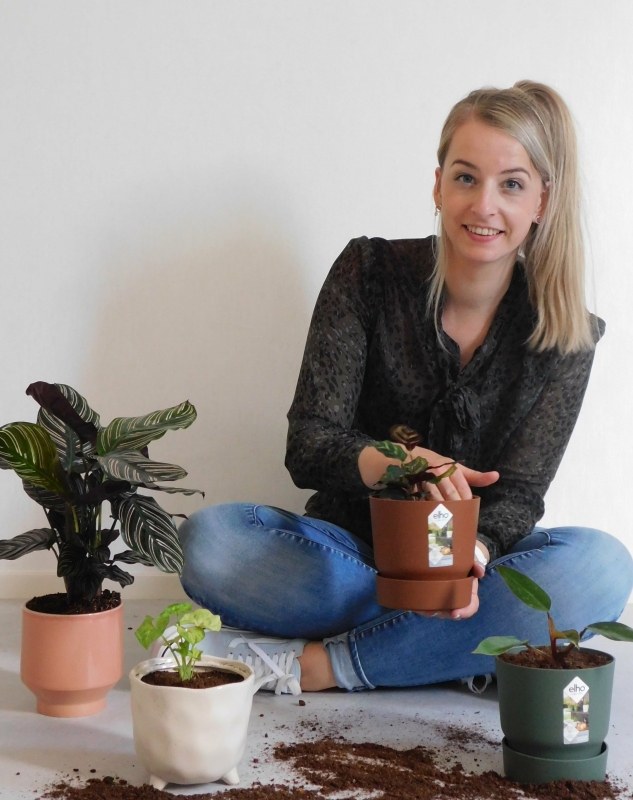 geminimaliseerd-blog-huisdiervriendelijke-planten-potten