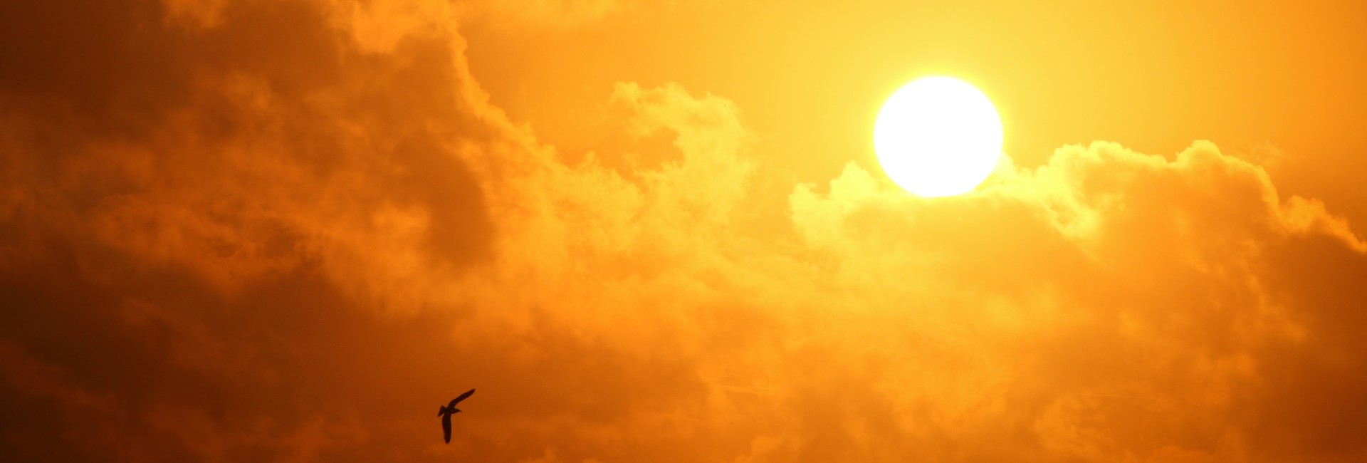 zonneschijn zonneschijn