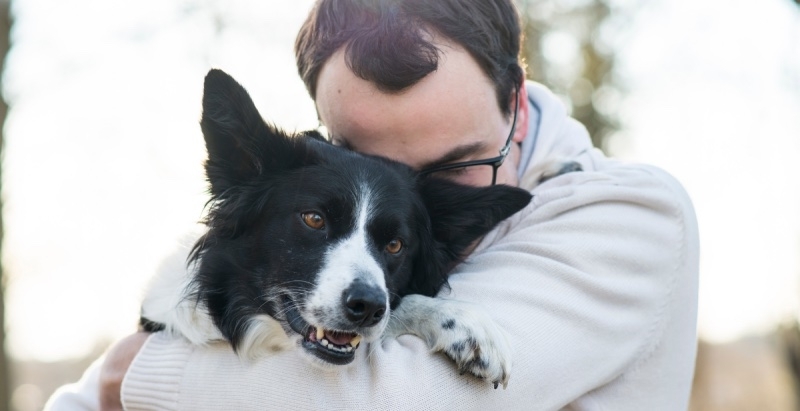 baas hond relatie knuffelen met hond