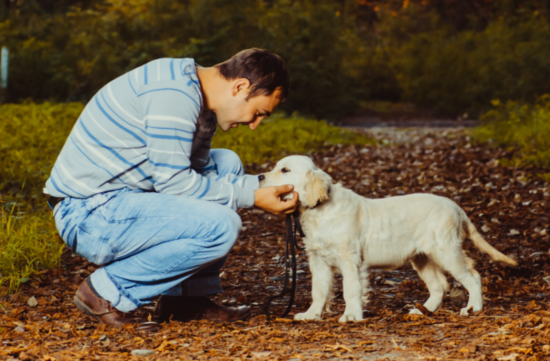 welke cursus voor puppy